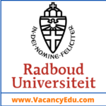 Postdoctoral Fellowship at Radboud University, Nijmegen, Netherlands