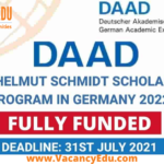 DAAD Helmut Schmidt Scholarship Programme 2022 in Germany