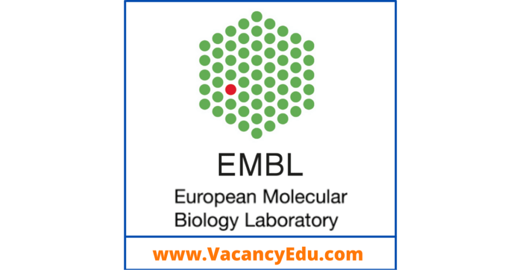 Postdoctoral Fellowship at The European Molecular Biology Laboratory (EMBL) Germany