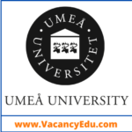 Postdoctoral Fellowship at Umea University  Sweden