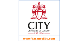 Postdoctoral Fellowship at City University of London, United Kingdom