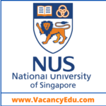 Postdoctoral Fellowship at National University of Singapore (NUS), Singapore