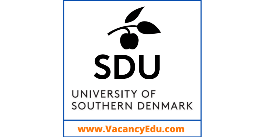 Postdoctoral Fellowship at University of Southern Denmark, Denmark