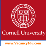 Postdoctoral Fellowship at Cornell University, New York, USA