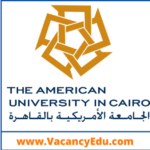 Multiple Faculty Position at American University in Cairo 