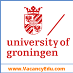 Postdoctoral Fellowship at University of Groningen, Netherlands